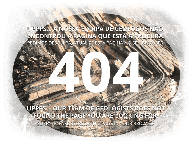 pag-404